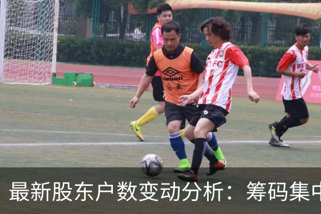 最新股东户数变动分析：筹码集中与市场表现